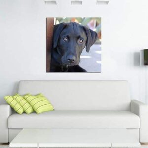 Premium Canvas Print Square 1000 x 1000mm