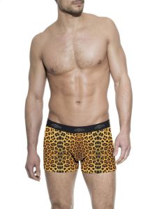 Mens Briefs Leopard